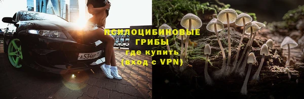 ешки Зерноград