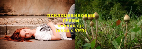 круглые Алзамай