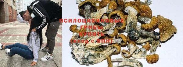 хмурый Алексеевка