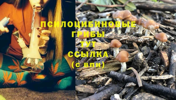 винт Зеленодольск