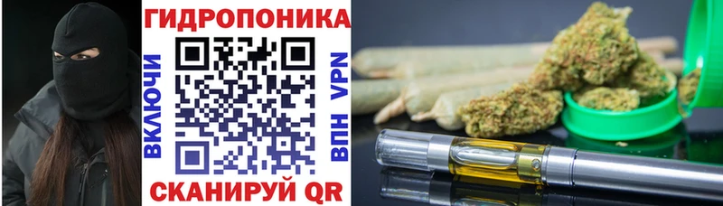 Бошки марихуана Ganja  Цивильск 